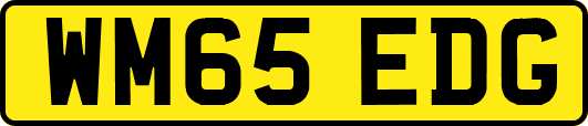 WM65EDG