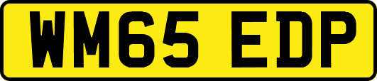 WM65EDP