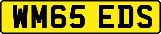 WM65EDS