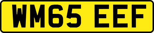 WM65EEF