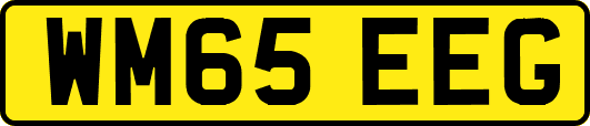 WM65EEG