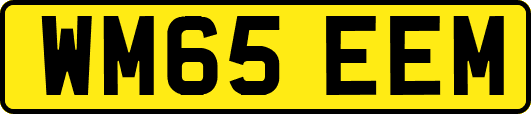 WM65EEM