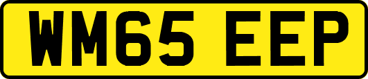 WM65EEP