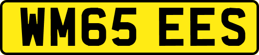 WM65EES