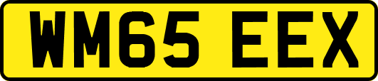 WM65EEX