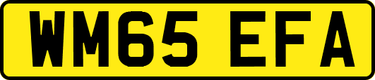 WM65EFA