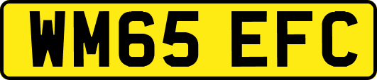WM65EFC