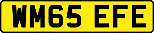 WM65EFE