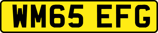 WM65EFG