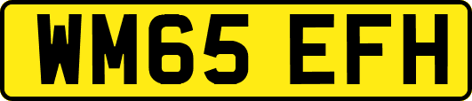 WM65EFH