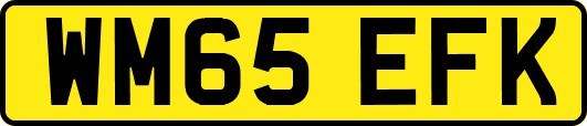 WM65EFK