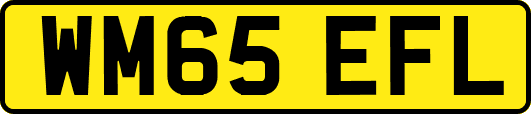 WM65EFL