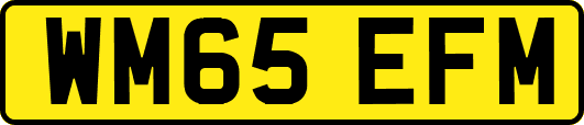 WM65EFM