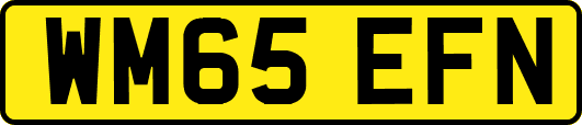 WM65EFN