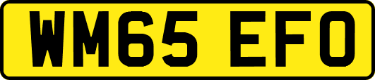 WM65EFO