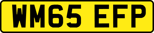 WM65EFP
