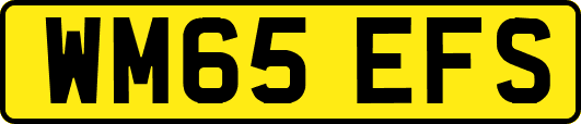 WM65EFS