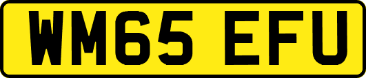 WM65EFU