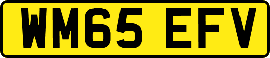 WM65EFV