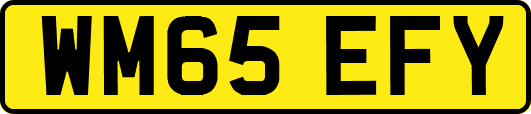 WM65EFY