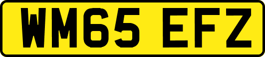 WM65EFZ