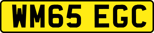 WM65EGC