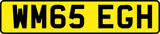WM65EGH