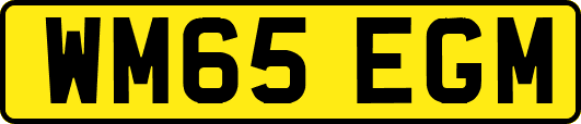 WM65EGM
