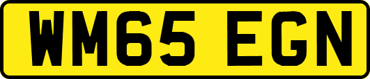 WM65EGN