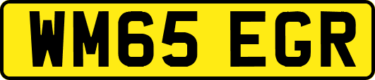 WM65EGR