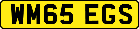 WM65EGS