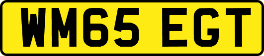 WM65EGT