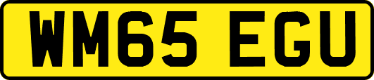 WM65EGU