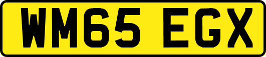 WM65EGX