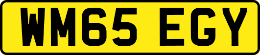 WM65EGY