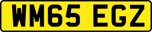 WM65EGZ