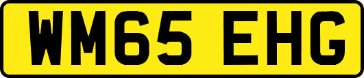 WM65EHG