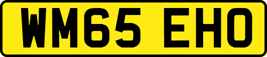 WM65EHO