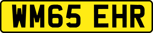 WM65EHR