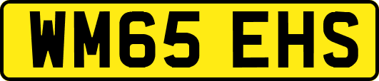 WM65EHS