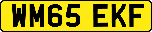 WM65EKF