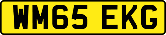 WM65EKG