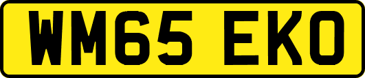 WM65EKO