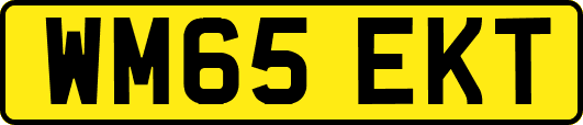 WM65EKT