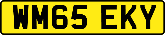 WM65EKY