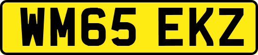 WM65EKZ