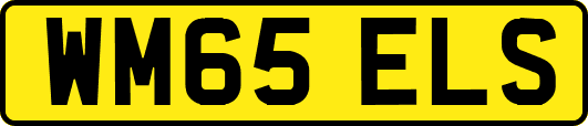 WM65ELS