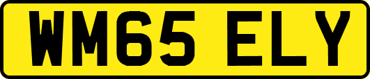 WM65ELY