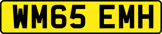 WM65EMH