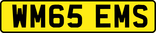 WM65EMS